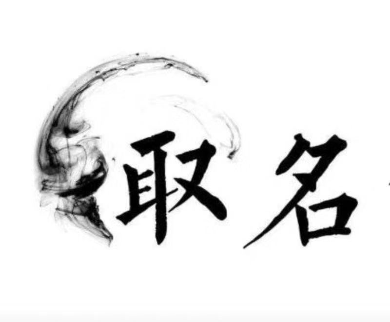  合川宝宝取名 大师一对一人工起名